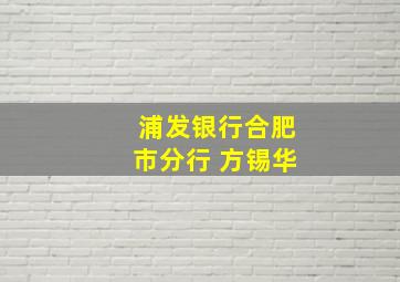 浦发银行合肥市分行 方锡华